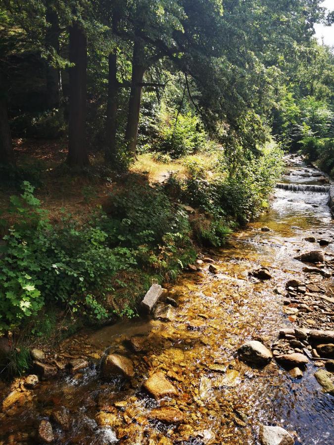 Chillout-Aparts Swieradow-Zdroj Luaran gambar