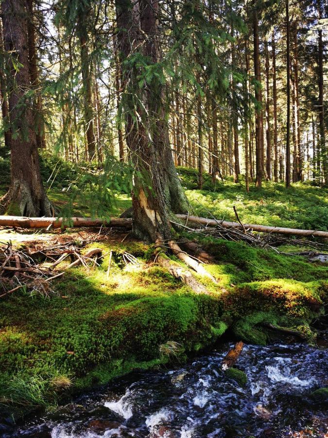 Chillout-Aparts Swieradow-Zdroj Luaran gambar